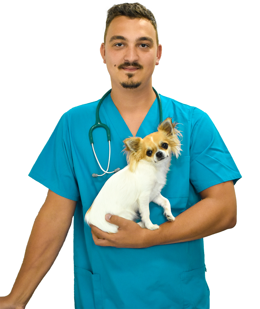 lek. wet. Adam Greczka - Weterzynarz Czechowice