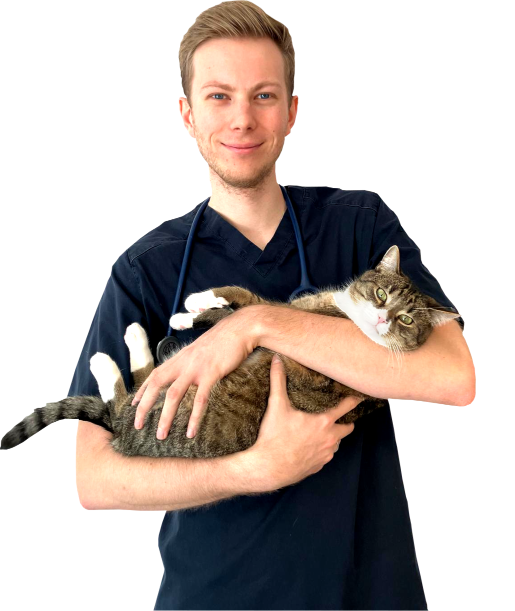 lek. wet. Jakub Radziszewski - Weterzynarz Czechowice