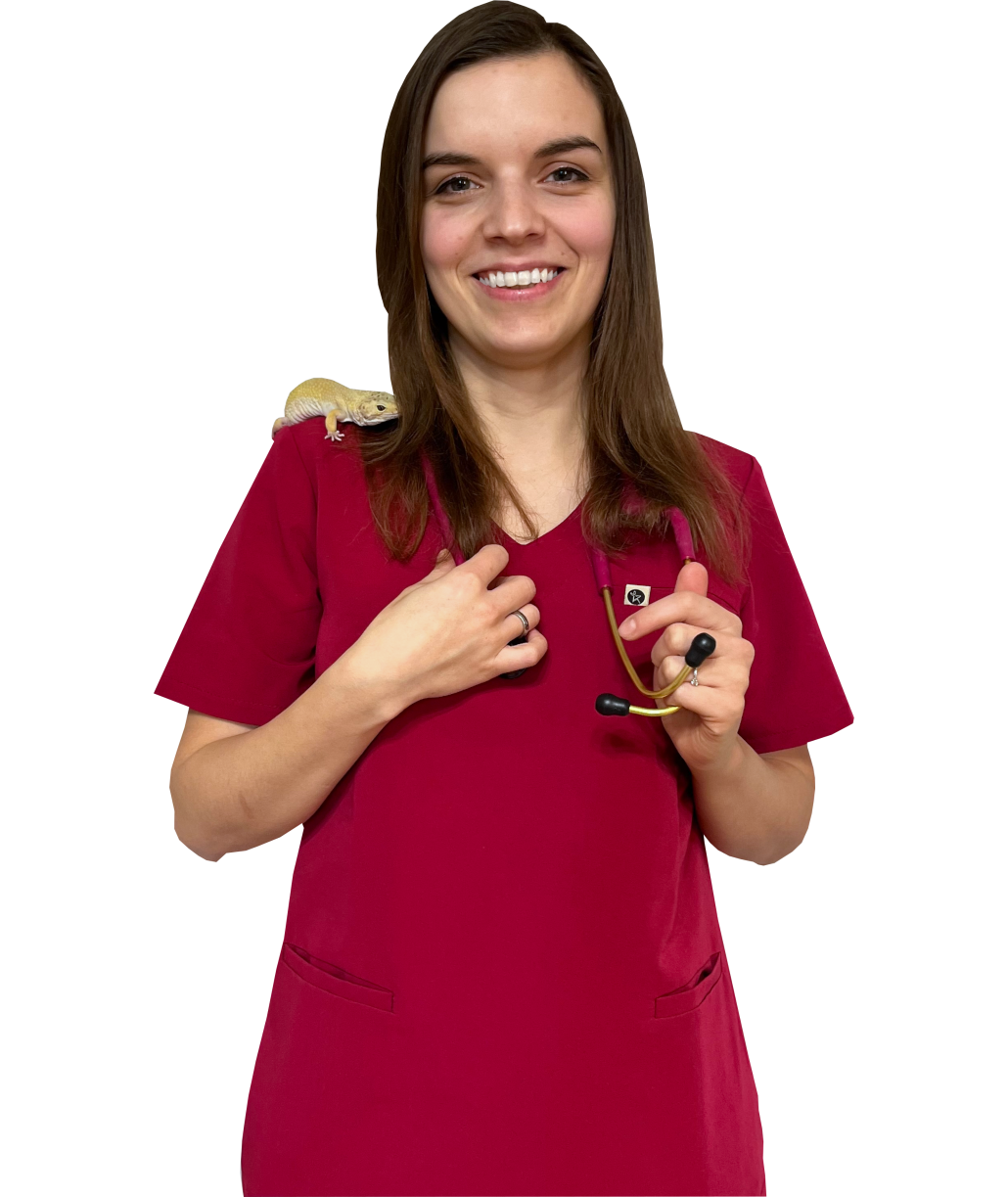 lek. wet. Anna Łukoś-Lapczyk - Weterzynarz Czechowice