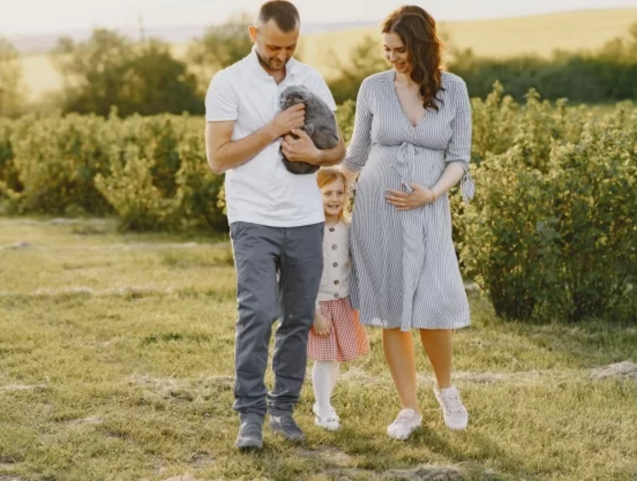 Ciąża a kot – czy kot w domu stanowi zagrożenie dla przyszłej mamy?