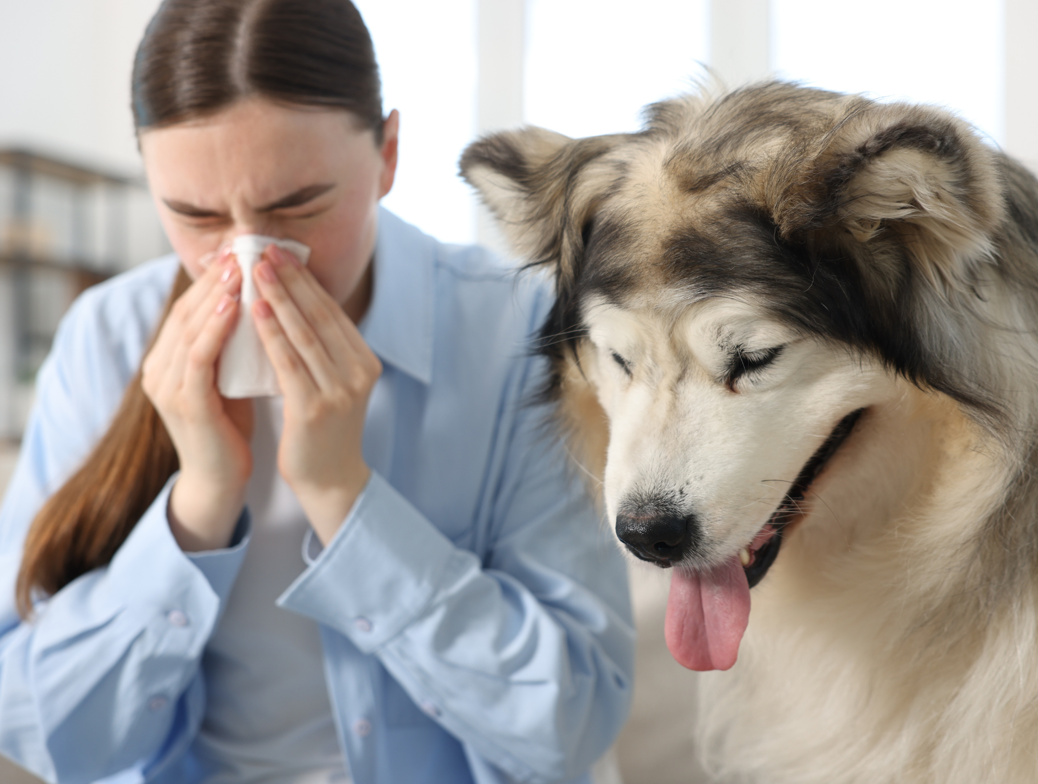 Czy mogę zarazić się od mojego zwierzęcia?