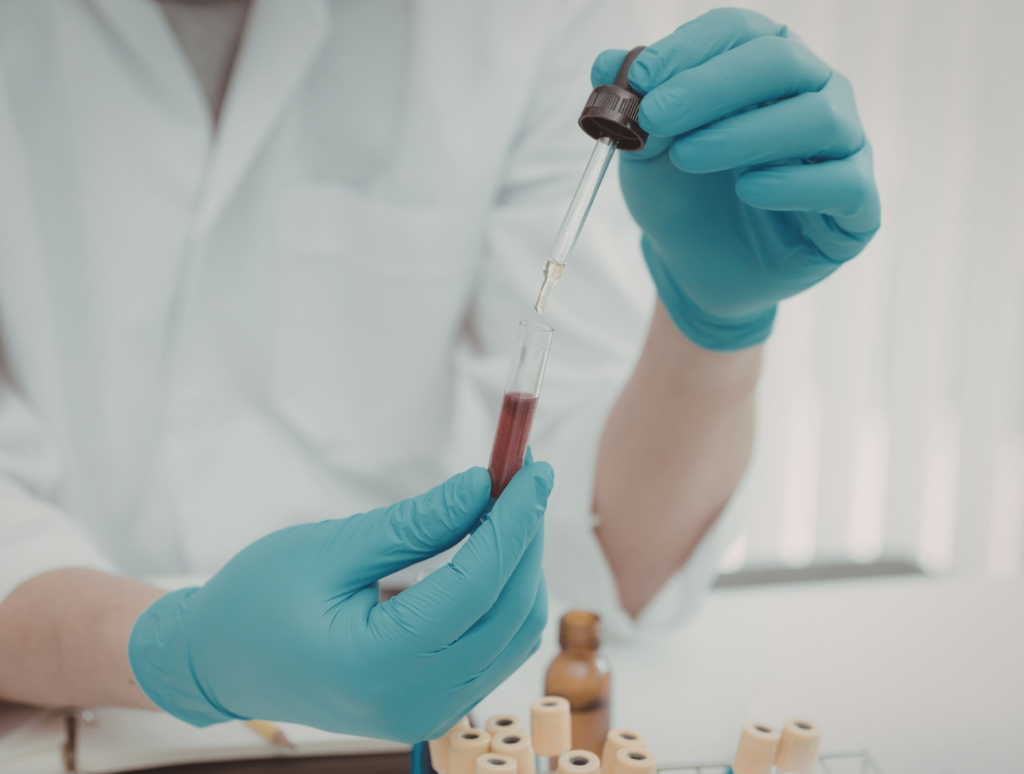 Czy zwierzętom bada się krew? Wszystko, co musisz wiedzieć o diagnostyce laboratoryjnej