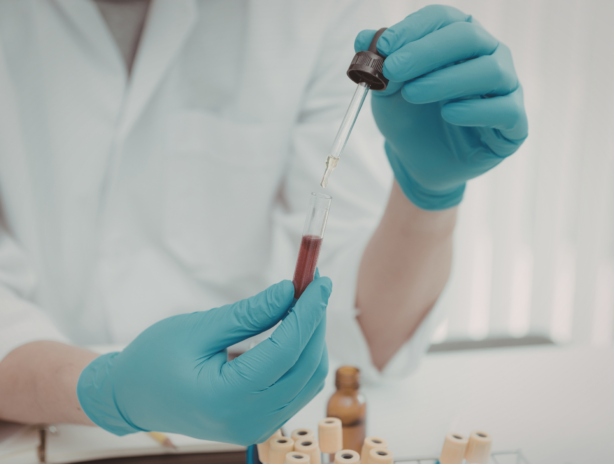 Czy zwierzętom bada się krew? Wszystko, co musisz wiedzieć o diagnostyce laboratoryjnej