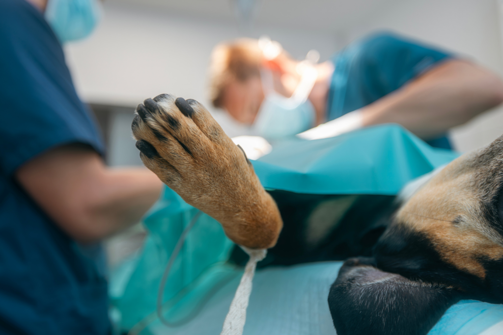 Intensywna terapia w stanach zagrożenia życia