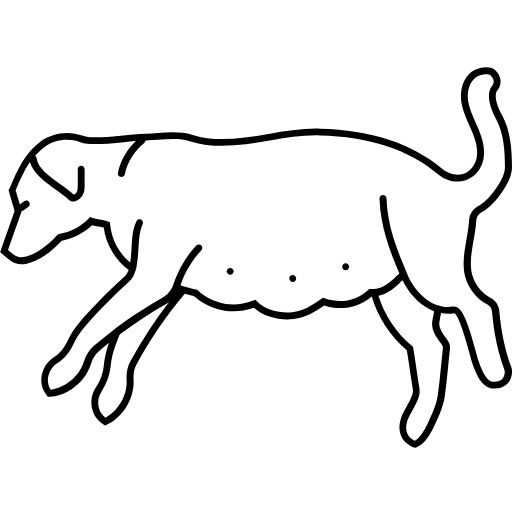 Cięcia cesarskie