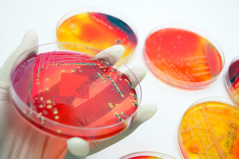 Badania mikrobiologiczne zwierząt