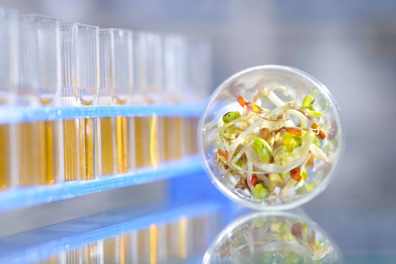 Badania mikrobiologiczne zwierząt